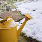 kaj-poceti-na-vrtu-v-mrazu-teh-7-hitrih-opravil.webp.webp