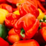 rumena-rdeca-ali-zelena-paprika-katere-barve-paprike-so-najbolj.webp.webp
